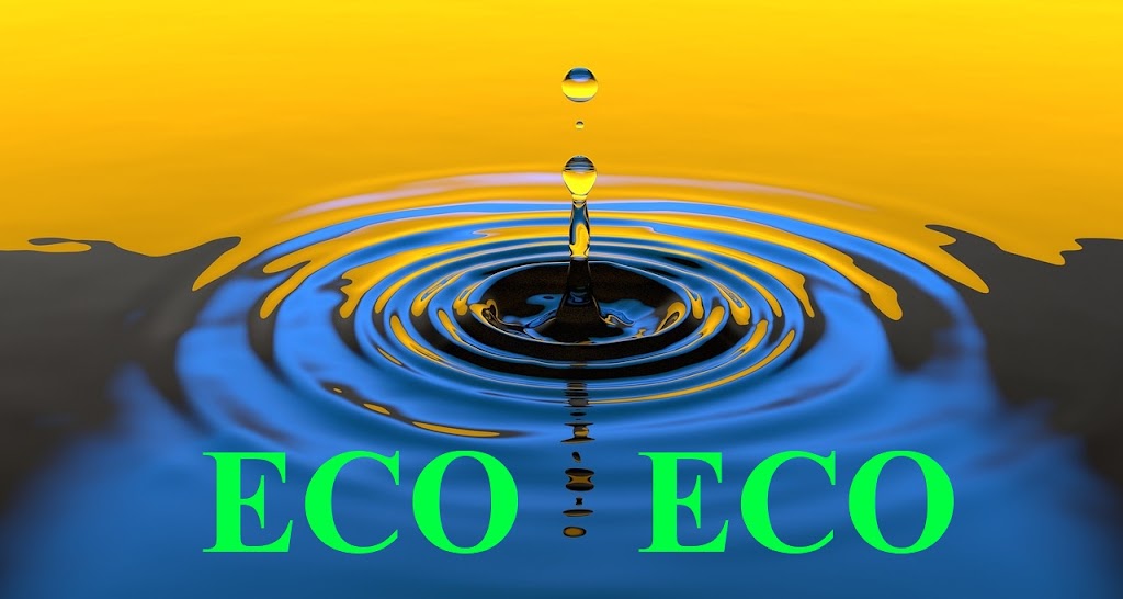 ECO ECO is here, it’s now and it’s all about Ecologically Sustainable Economy