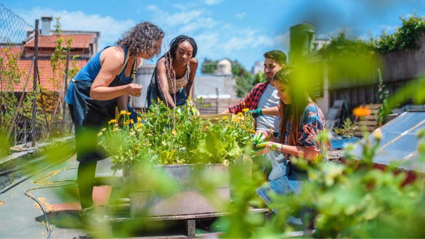 Starting a Community Garden: Bringing People Together through Nature