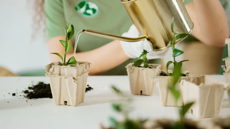 The Environmental Impact Of Reducing Waste