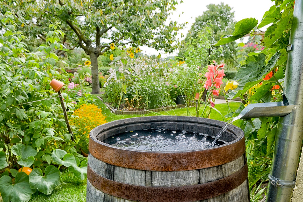 Building a Rain Barrel for Home Use: A Sustainable Solution
