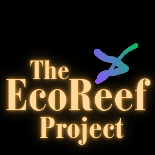 The EcoReef Project