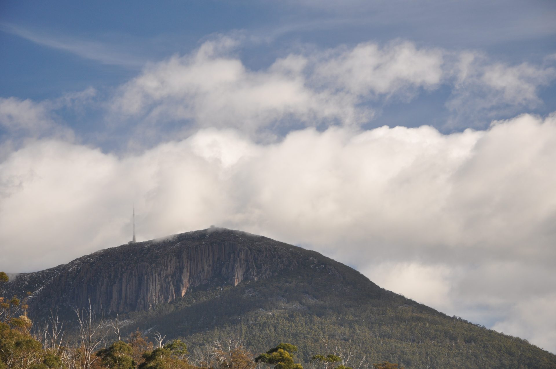 The Ancient Forests of Tasmania - Photo By Mike Fernandes