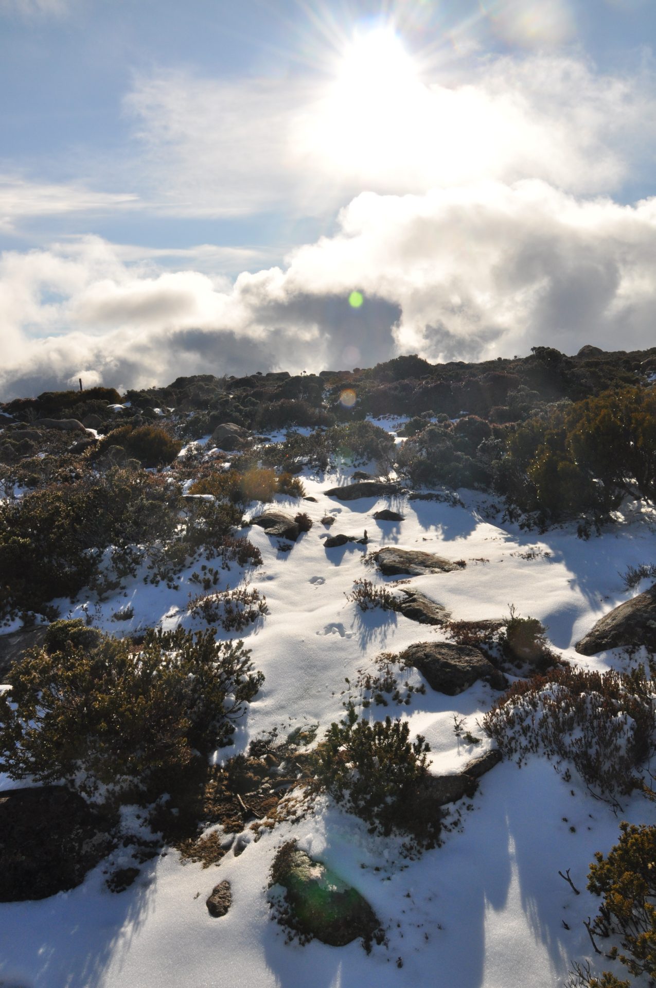 A Tasmanian Treasure - Photos By Mike Fernandes