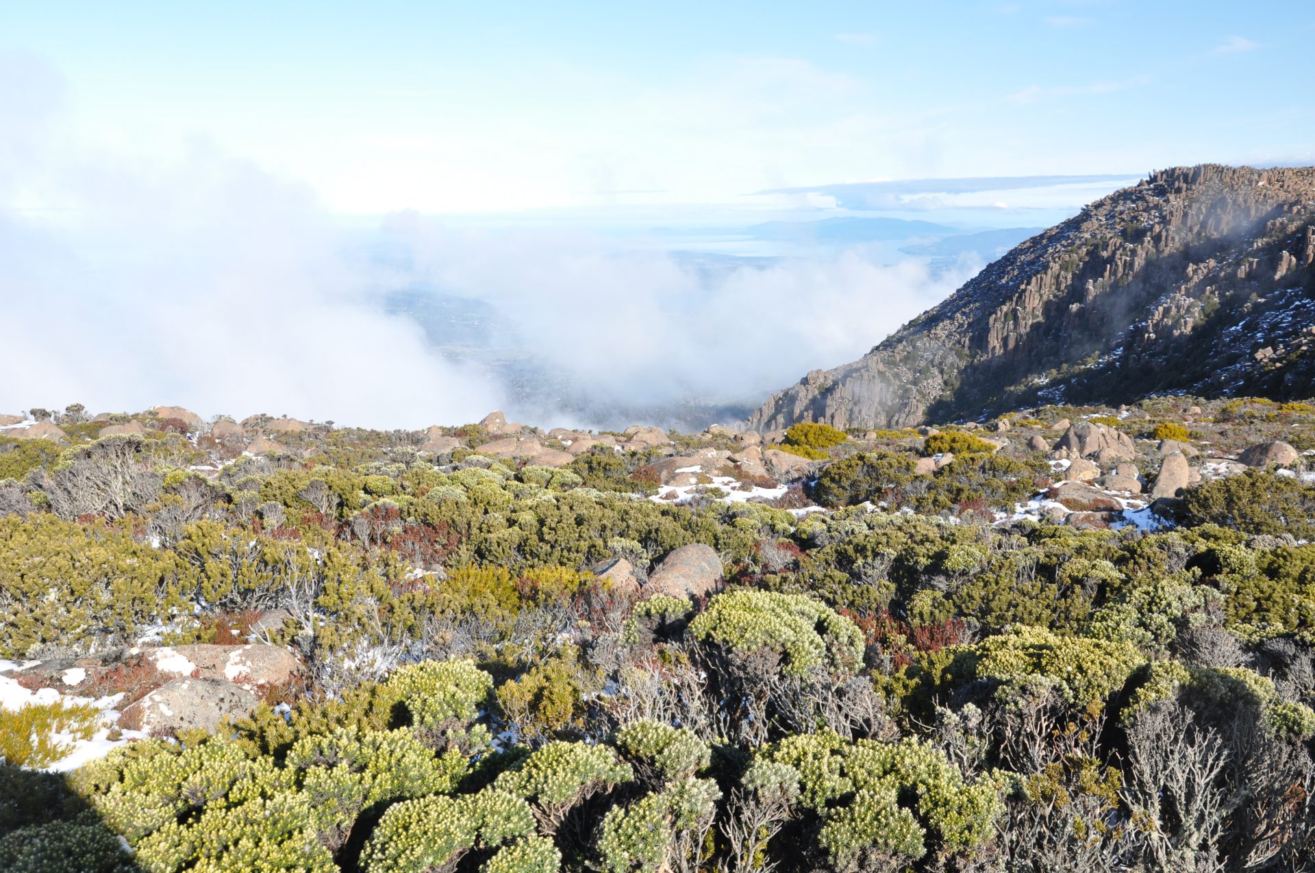 Tasmania & It’s Amazing Forests