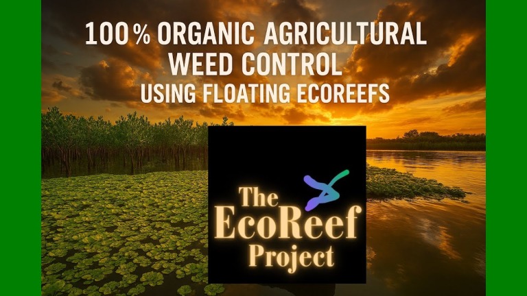 The Freshwater Adaptable Future On Clever Living Ecoreefs
