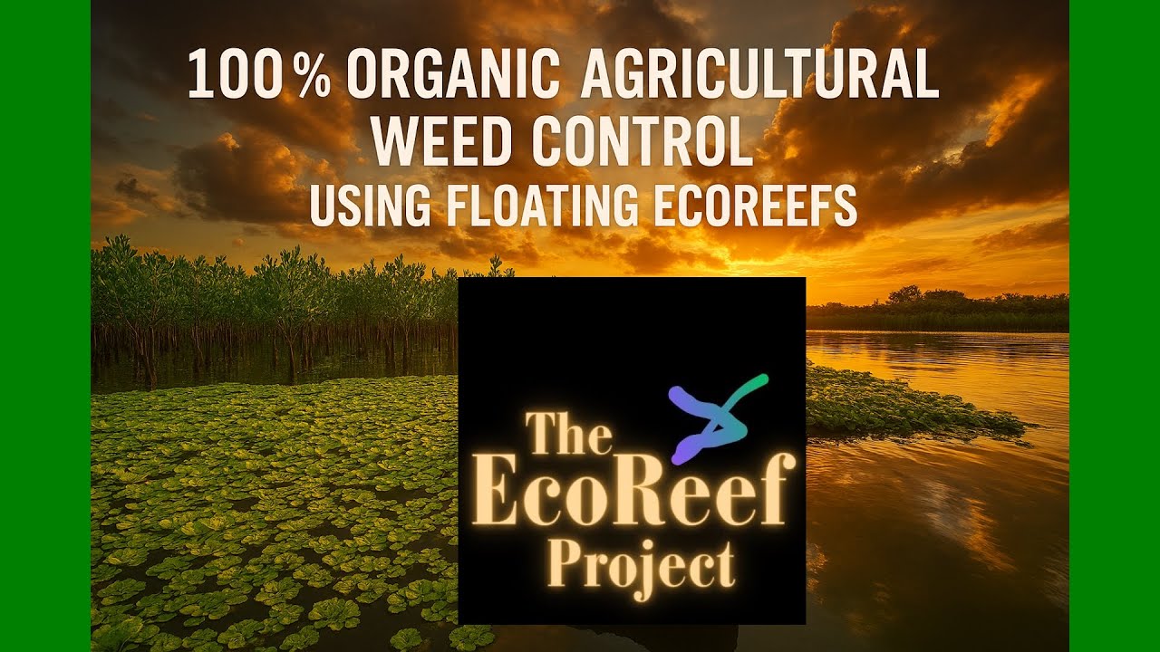 The Freshwater Adaptable Future On Clever Living Ecoreefs