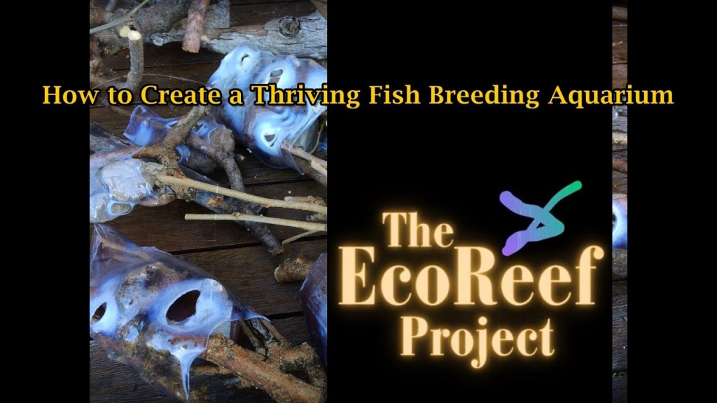 EcoReefs Are fully Adaptable